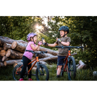 Rascal Rascal 16 Belt Drive 1-Gang, Titan 16 Zoll