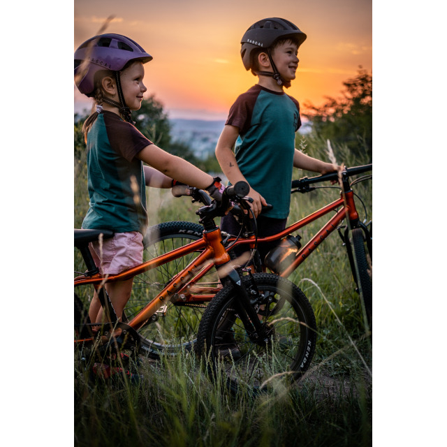 Rascal Rascal 16 Belt Drive 1-Gang, Titan 16 Zoll