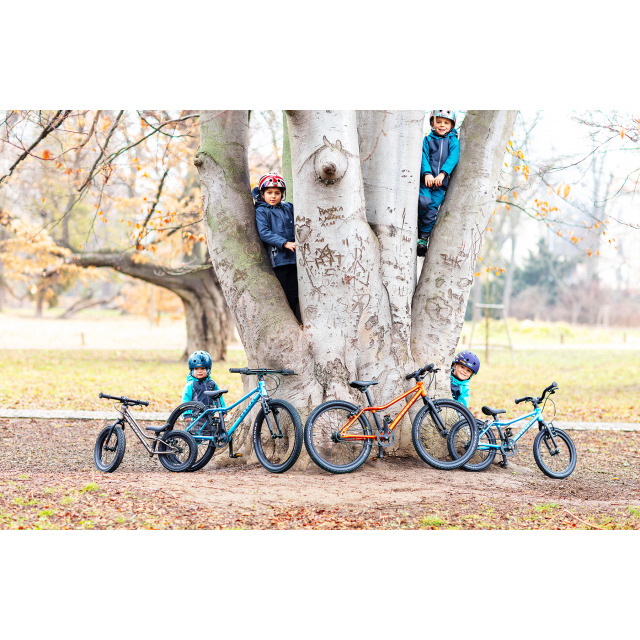 Rascal Rascal 16 Belt Drive 1-Gang, Titan 16 Zoll