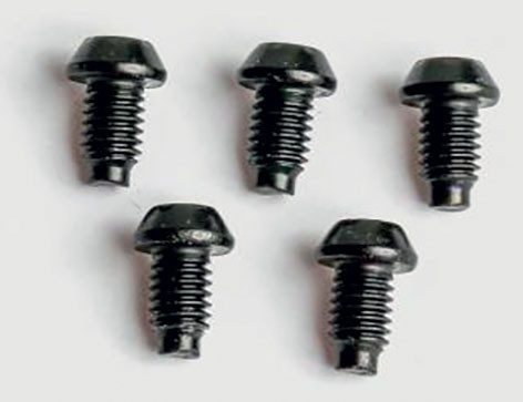 Magura Verschlussschraube Bremszange MT ab MJ2015  (VE : 5 Stück)