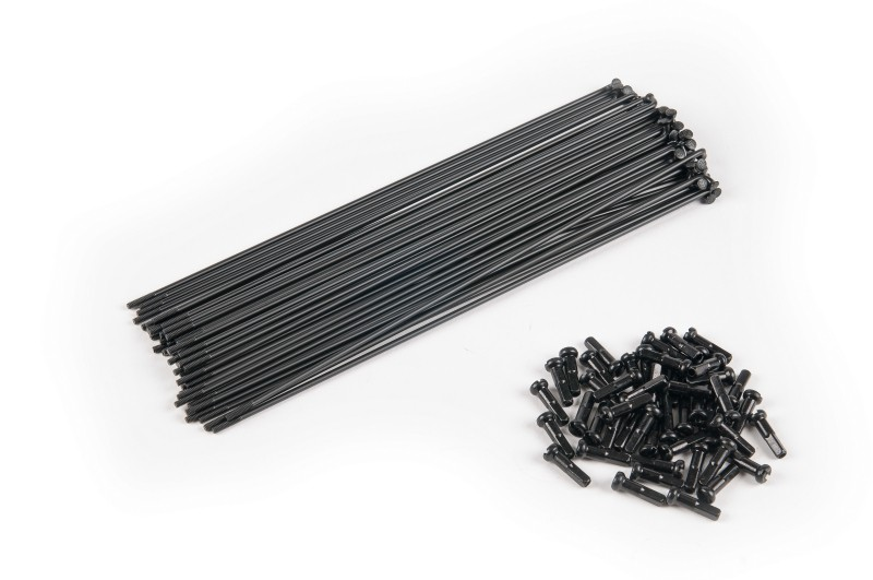 Eclat / Salt / Salt+ / We the people  PG 186mm spokes incl. black nipp 40pcs