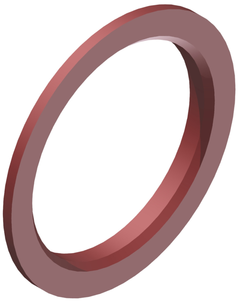 DT Swiss Pass-Scheibe 25.9/19.9x2.3 RAT EXP