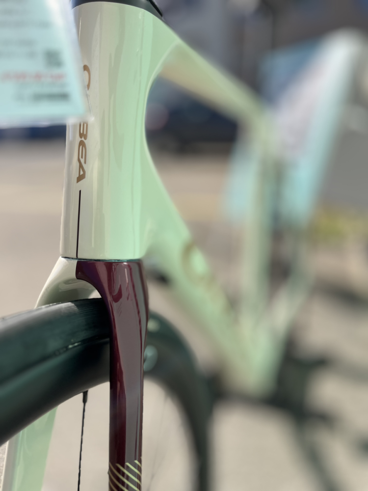 Orbea ORCA M20iTEAM 55 WHI-GAR