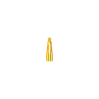 Lezyne CNC TLR Valve Cap, Gold