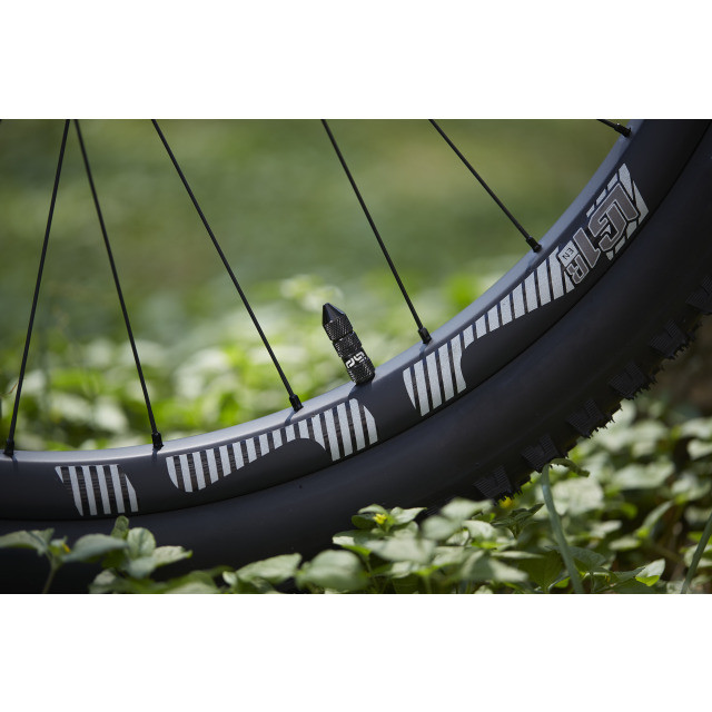 Ethirteen Tubelessventil Schrader Quickfill Gen2 Aluminium , 2 Stk 16-24mm, Violet Purple