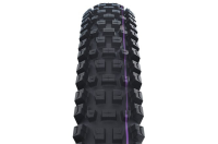 Schwalbe Pneu Albert 29x2.50 Trail Pro Addix UltraSoft TL-Ready black