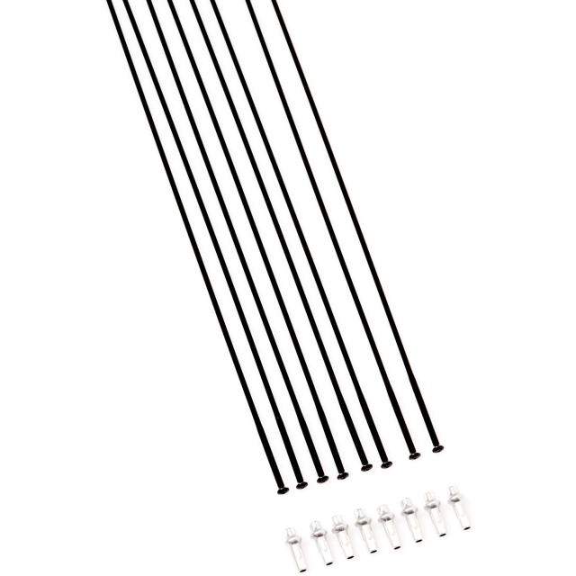 DT Speichenset PRC 1100 Dicut Mon Chasseral DB, Mod 21, F+R