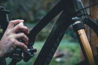 Dr. Wack F100 Matt-Pflege Spray 250 ml