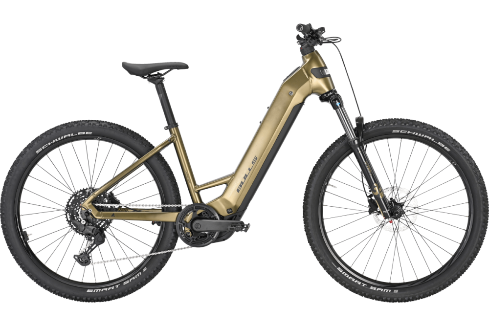 Bulls Copperhead Evo 29, Tiefeinsteiger, L