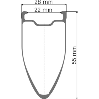 DT Swiss ARC 1100 Dicut 55 WTS Disc Vorderrad, Carbon, CL, 12x100mm, 22mm