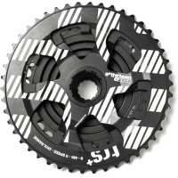 Ethirteen Kassette TRS Plus 11 fach 9-46 Zähne, XD / XDR Freilauf schwarz