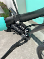 Bike Ahead The Frame ST LTD